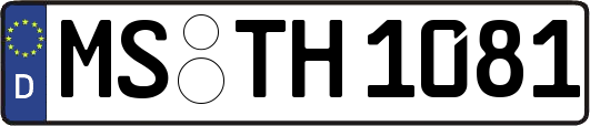 MS-TH1081