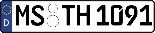 MS-TH1091