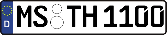 MS-TH1100