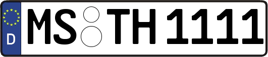 MS-TH1111
