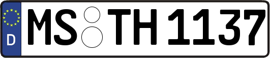 MS-TH1137