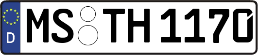 MS-TH1170