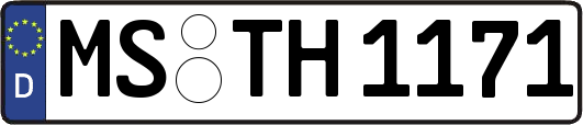 MS-TH1171