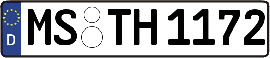 MS-TH1172