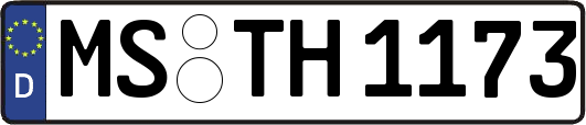 MS-TH1173