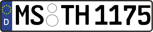 MS-TH1175