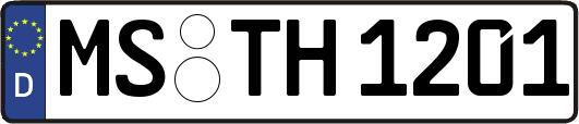 MS-TH1201
