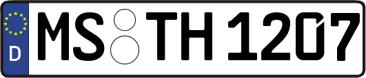 MS-TH1207