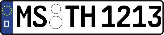 MS-TH1213