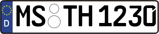 MS-TH1230