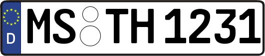 MS-TH1231