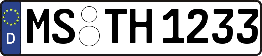 MS-TH1233