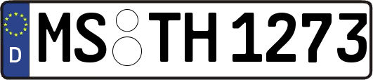 MS-TH1273