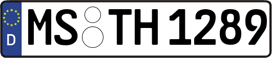 MS-TH1289