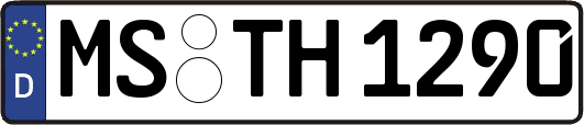 MS-TH1290