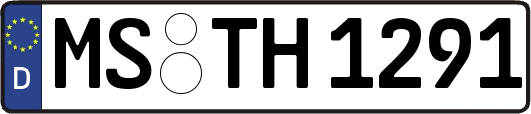 MS-TH1291
