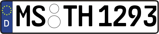MS-TH1293
