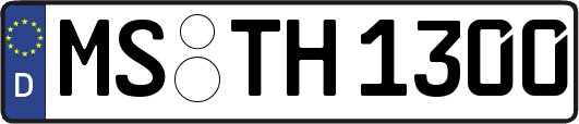 MS-TH1300