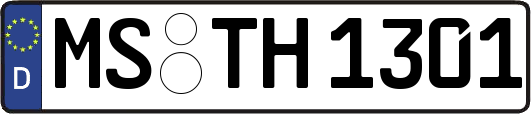 MS-TH1301