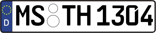 MS-TH1304