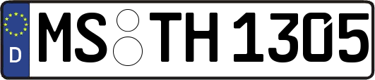 MS-TH1305