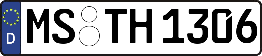MS-TH1306