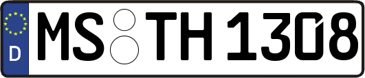MS-TH1308