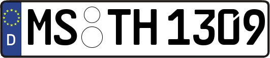 MS-TH1309
