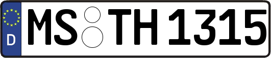 MS-TH1315