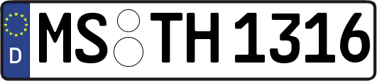 MS-TH1316