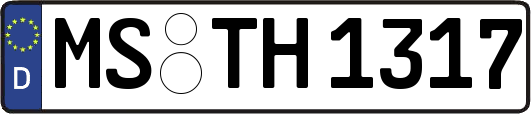 MS-TH1317