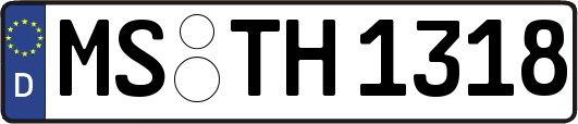 MS-TH1318