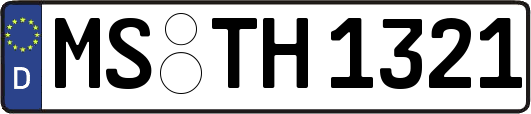 MS-TH1321