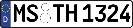 MS-TH1324