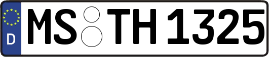 MS-TH1325