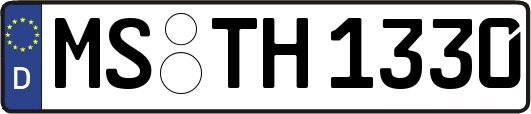 MS-TH1330