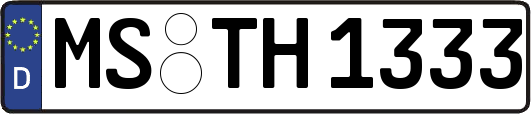 MS-TH1333