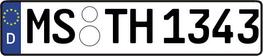 MS-TH1343