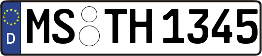 MS-TH1345