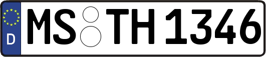 MS-TH1346