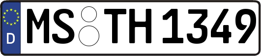 MS-TH1349