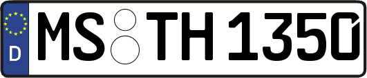 MS-TH1350