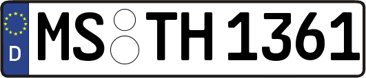 MS-TH1361