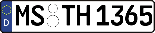 MS-TH1365