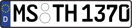 MS-TH1370