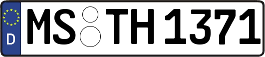 MS-TH1371