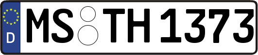 MS-TH1373