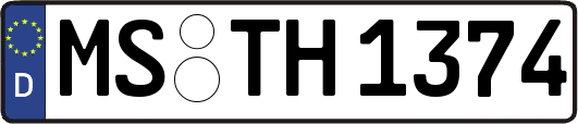 MS-TH1374