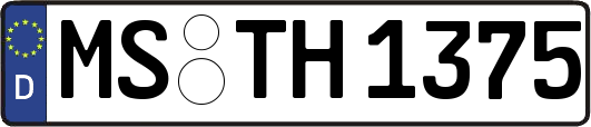 MS-TH1375