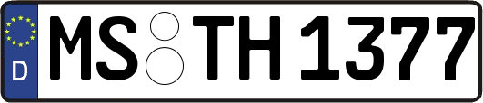 MS-TH1377